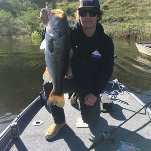 Meet your Posher, Tanner